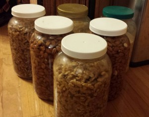 Soaking nut gallons